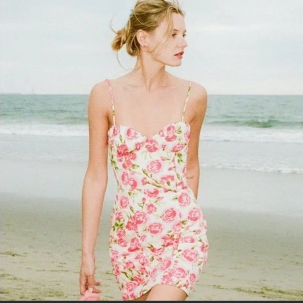 NWT Zara Preppy Rose Dress